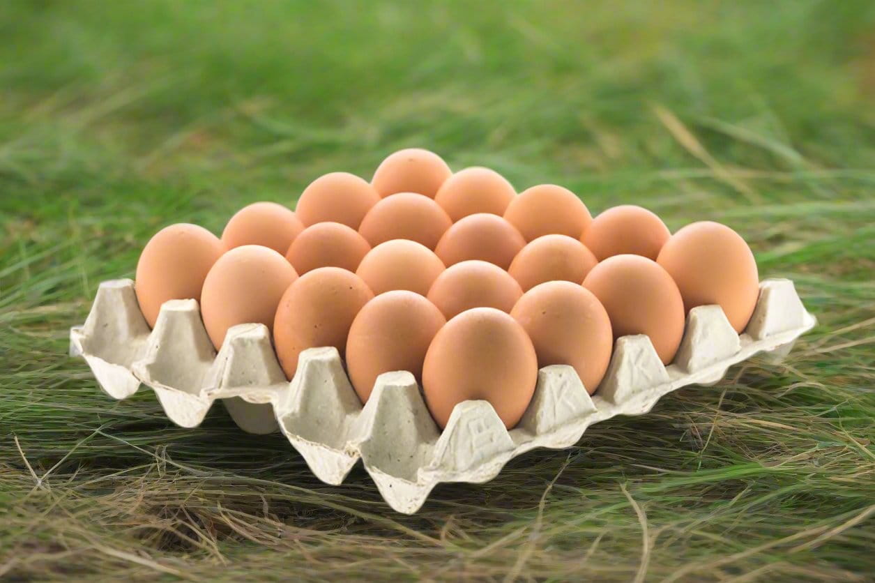 Eggs (tray of 30)