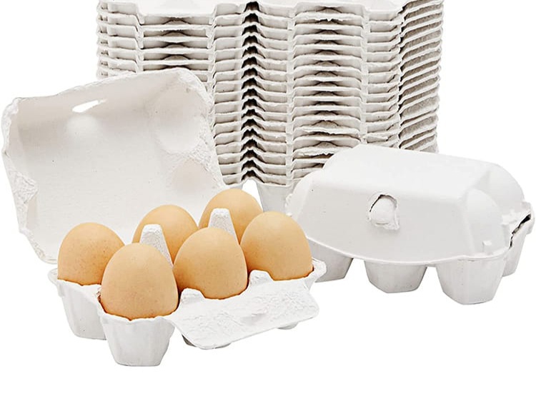 Eggs (pack of 6)