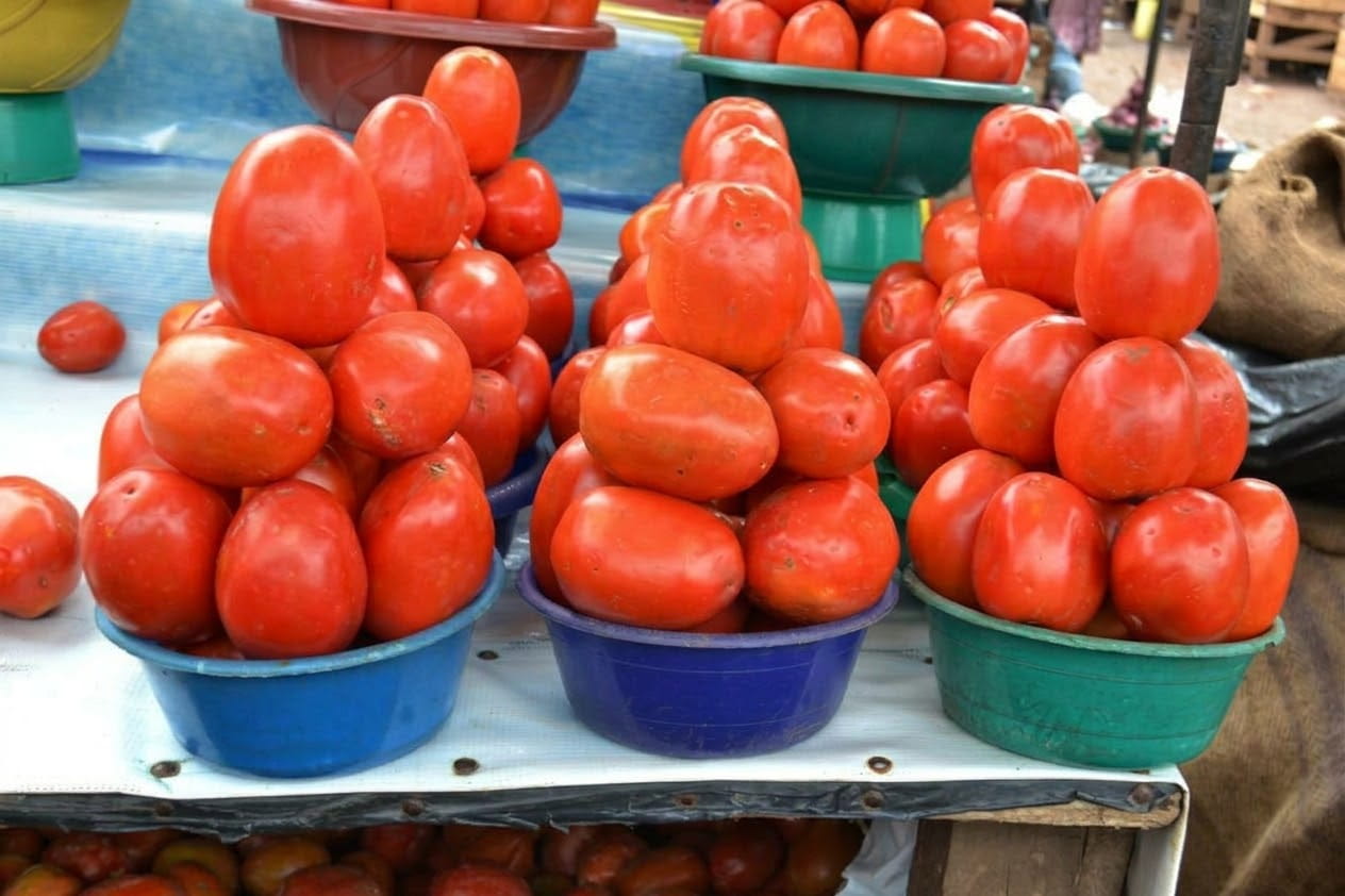 Tomatoes